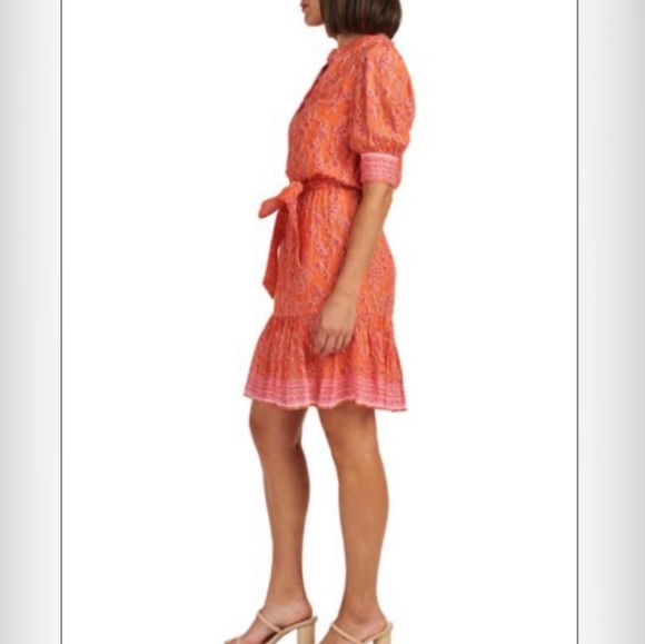 *SOLD*NWT Daniel Rainn Alianna Flared Paisley Print Dress Size Medium - Picture 2 of 8